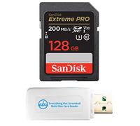 Everything But Stromboli Secure Digital Card