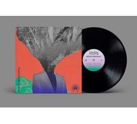 Everything Everything Mountainhead (Vinyl) 12" Album (Importación USA)