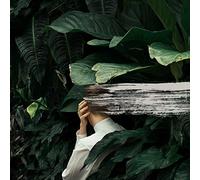 From Indian Lakes - Everything Feels Better Now [Casete]