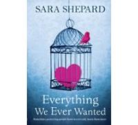 Everything We Ever Wanted (ebook)