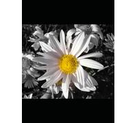 Everything We Need to Start a New World