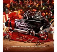Everything You Want for Christmas by Big Bad Voodoo Daddy (2004) Audio CD
