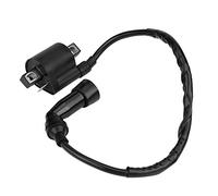 EVGATSAUTO Bobina de encendido de repuesto, bobina de encendido de motocicleta para Bear Tracker 250 ATV 1999 2000 2001 2002 2003 2004 Negro