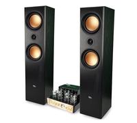 Evidence Acoustics Par de altavoces HiFi/Home-Cinema EA800-PG - 2 x 500 W PMPO, amplificador de tubo EA-50TUBE-BT estéreo Vintage
