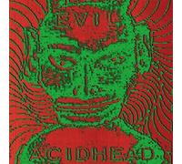 Evil Acidhead - In the Name of All That Is Unholy [VINYL] [Vinilo]