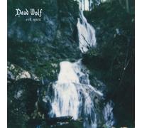 Broken Silence – Evil Spirit – Vinilo