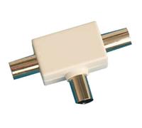 Evila - Te blanca 1 macho /2 hembras