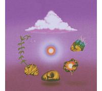 Evolfo – Site Out Of Mind – CD – Importación USA