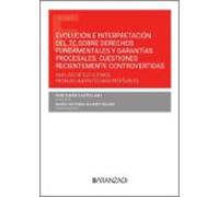 Evolución E Interpretación Del TC Sobre Derechos Fundamentales Y Garantías Procesales: Cuestiones Recientemente Controvertidas (Papel + E-book)