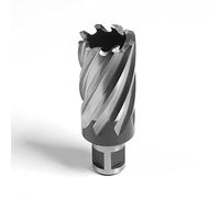 Evolution Cortadora anular de 31 x 50 mm (31L) de Evolution: corta más rápido y dura más tiempo. Compatible con prácticamente todos los taladros magnéticos