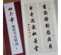 EVWGNPQRV Carteles de poesía Sutra del corazón de la caligra Cuaderno de caligrafía con pincel chino, escritura en ejecución, práctica caracteres, multicolor, 28 x 37 cm(C)