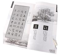 EVWGNPQRV Carteles de poesía Sutra del corazón de la caligra Wang Xizhi Pincel Carácter Corriendo Guión Cuaderno Chino Clásicos Poema Multicolor(D)