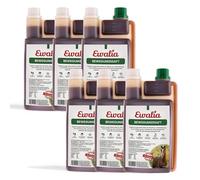 EWALIA Jugo de ejercicio - Alimento complementario premium para caballos para apoyar el sistema musculoesquelético, promover el bienestar general, con poderosas hierbas medicinales, 6 x 1 litro