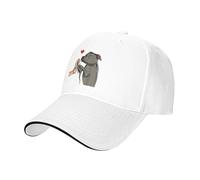 EWASDACCS Gorras de béisbol Divertidas TafFordShire Bull Terrier Love Dog Gráfico Hembra Masculina Casual Spring Gorras