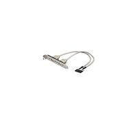 Ewent 2.0 Ranura con el Tipo 2 Puertos USB A/Mujer, Ataque mainbord USB Pin 2x5, Negro