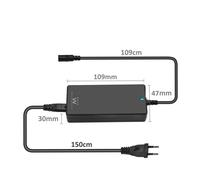 Ewent - EW3965 adaptador e inversor de corriente Interior 65 W Negro