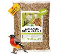 EWL Naturprodukte Gusanos de la Harina Secos 1,2 kg (7,8 L), Snack de Insectos para Aves, Peces, Tortugas, Roedores y Reptiles
