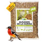 EWL Naturprodukte Gusanos de la harina Secos, 2 kg (13L) Snack para pájaros, Peces, Tortugas, roedores y Reptiles …