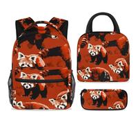 ewndhtse Juego de mochila escolar con bolsa de almuerzo, estuche para lápices, juego de 3 mochilas escolares, mochila de viaje, mochila casual para adolescentes, niñas, niños, primaria, junior, medio