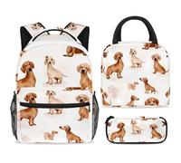 ewndhtse Juego de mochila escolar con bolsa de almuerzo, estuche para lápices, juego de 3 mochilas escolares, mochila de viaje, mochila casual para adolescentes, niñas, niños, primaria, junior, medio