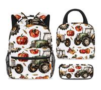 ewndhtse Juego de mochila escolar con bolsa de almuerzo, estuche para lápices, juego de 3 mochilas escolares, mochila de viaje, mochila casual para adolescentes, niñas, niños, primaria, junior, medio