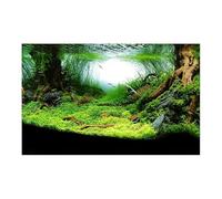 EWUHYFP Fondo para Peceras Pegatina de Bosque for Acuario, Cartel Adorno Fondo, Paisaje for, Papel Respaldo Autoadhesivo for pecera(Green,50x80cm)