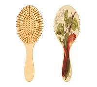 Ewusp Cepillo para desenredar el cabello de manzanas vintage para mujeres y hombres, antiestático y enredos, cepillo para cabello húmedo y seco, para tipos de cabello rizado, grueso, ondulado y fino