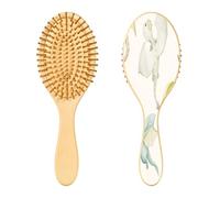 Ewusp Lindo cepillo de pelo desenredante de dragón de dibujos animados para mujeres y hombres, antiestático y enredos, cepillo de pelo húmedo y seco para tipos de cabello rizado, grueso, ondulado y