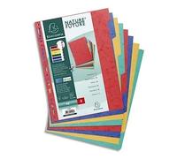 Exacompta - 1408E - Separadores en auténtica cartulina flexible brillo 225g/m2 FSC® con 8 pestañas neutras - Formato a archivo A4 - Dimensiones 22,5 x 29,7 cm - colores surtidos