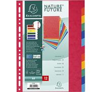 Exacompta Separador de archivo A4 1412E, 12 separadores cartulina multitaladro, colores surtidos