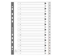 Exacompta - 1721E - Separadores de polipropileno reciclado gris con 20 pestañas impresas digitalmente del 1 al 20 - Formato archivo A4 - Dimensiones 22,5 x 29,7 cm - Certificado Blue Angel