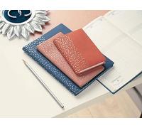 Exacompta 205592E - Agenda semanal de oficina Visuel Horizons 20 Amelie (15 x 21 cm), color azul