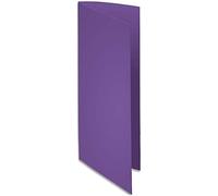 Exacompta 210008E - Lote de 100 Subcarpetas Rock"S 220, Color Morado