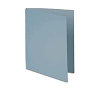 Exacompta 210009E - Lote de 100 Subcarpetas Rock"S 210 g, Color Gris