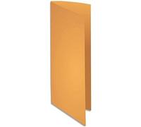 Exacompta 210026E - Lote de 100 Subcarpetas Rock"S 220, Color Naranja