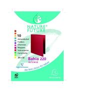 Exacompta 217001E - Lote de 10 Subcarpetas Rock"S 220, Colores Surtidos