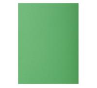 Exacompta 217104E - Lote de 10 Subcarpetas Rock"S 220, Color Verde