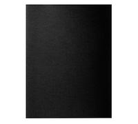 Exacompta 217118E - Lote de 10 Subcarpetas Rock"S 220, Color Negro