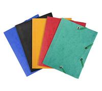 Exacompta 25 carpetas con gomas 3 solapas 425 g/m² Pocket surtidas