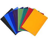 Exacompta 8510E - Lote de 25 carpetas de 10 fundas PVC, A4, multicolor