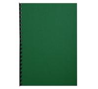 Exacompta 2798C - Lote de 100 cubiertas/cartulinas de dossiers, A4, color verde