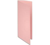 Exacompta 330003E - Lote de 100 Subcarpetas Super 250, Color Rosa