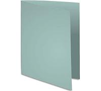Exacompta 330009E - Lote de 100 Subcarpetas Super 250, Color Gris