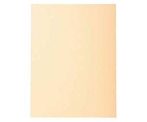 Exacompta 420002E - Lote de 100 Subcarpetas Forever® 180, Color Crema