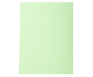 Exacompta 420013E - Lote de 100 Subcarpetas Forever® 180, Color Verde