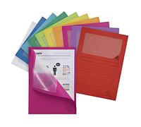 Exacompta 50250E - Lote de 25 Subcarpetas Forever® 120 con Ventana e Impresas - Colores Vivos, Colores Surtidos Vivos