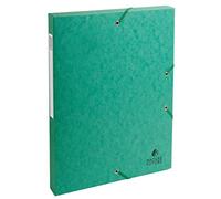 Exacompta 50303E - Carpeta de proyecto con goma, color verde