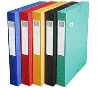 Exacompta 50810E - Pack de 10 carpetas de proyecto con goma, multicolor