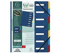 Exacompta 55072/E - Carpeta tipo acordeón con separadores, color azul