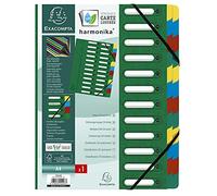 Exacompta - 55243E - 1 Carpeta HARMONIKA - con gomas y ventanas recortadas - tapa de cartulina brillante - lomo expandible - 24 compartimentos - para A4 - tamaño 24,5 x 32 cm - color verde